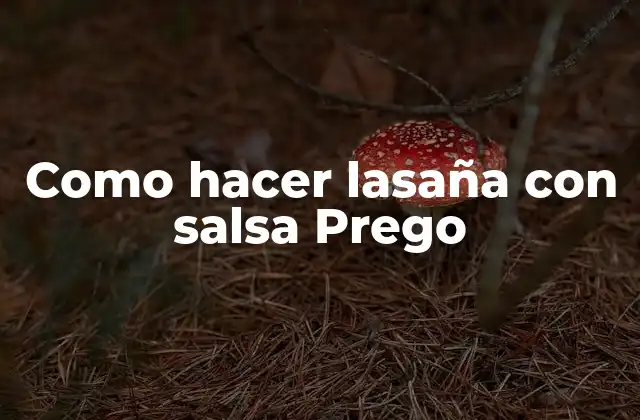Como Hacer Lasaña con Salsa Prego