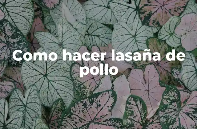 Como Hacer Lasaña de Pollo