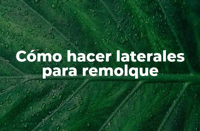 Cómo Hacer Laterales para Remolque 2 Cómo hacer laterales para remolque