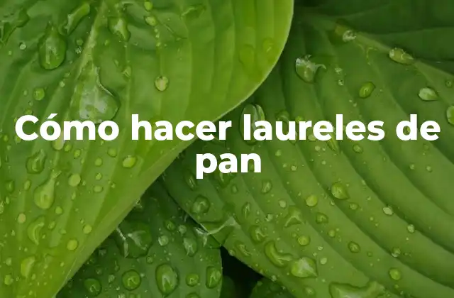 Cómo Hacer Laureles de Pan
