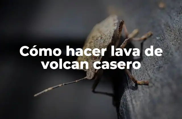 Cómo Hacer Lava de Volcan Casero