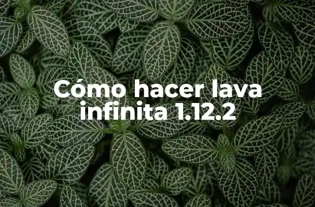 Cómo Hacer Lava Infinita 1.12.2