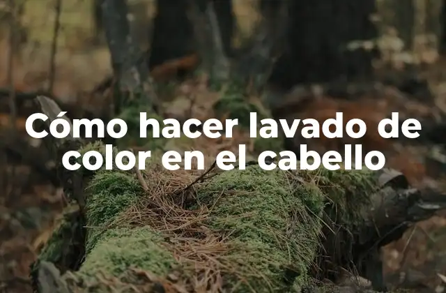 Cómo Hacer Lavado de Color en el Cabello