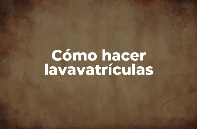 ¿Qué son las lavavatrículas?
