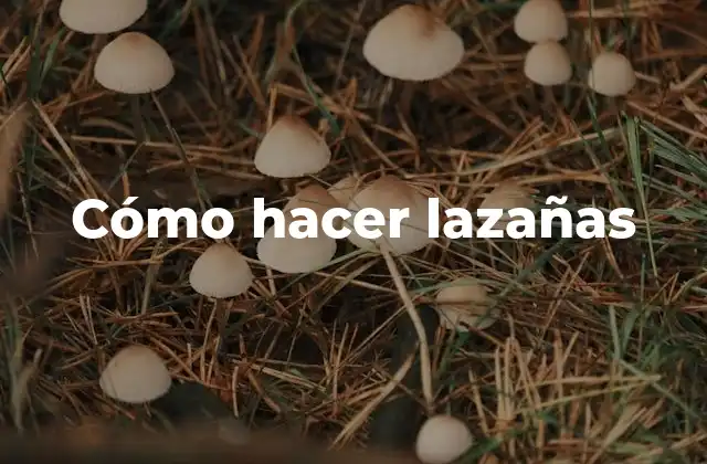 Cómo Hacer Lazañas