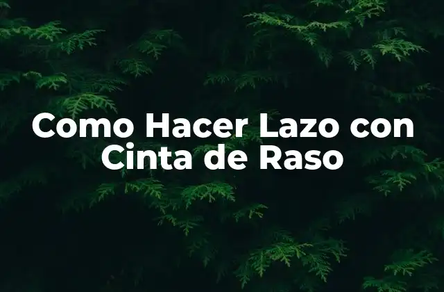 Cinta de Raso y Lazo