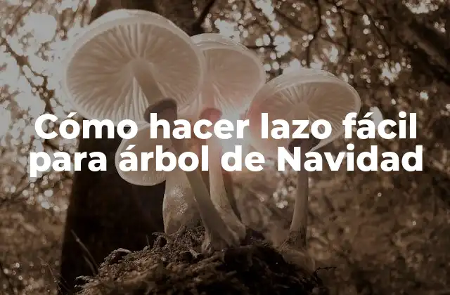 Cómo Hacer Lazo Fácil para Árbol de Navidad 16 ¿Qué es un lazo para árbol de Navidad y cómo se utiliza?