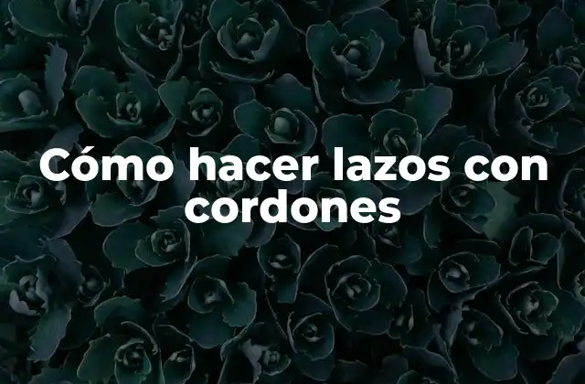 Cómo Hacer Lazos con Cordones