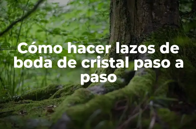 Cómo Hacer Lazos de Boda de Cristal Paso a Paso