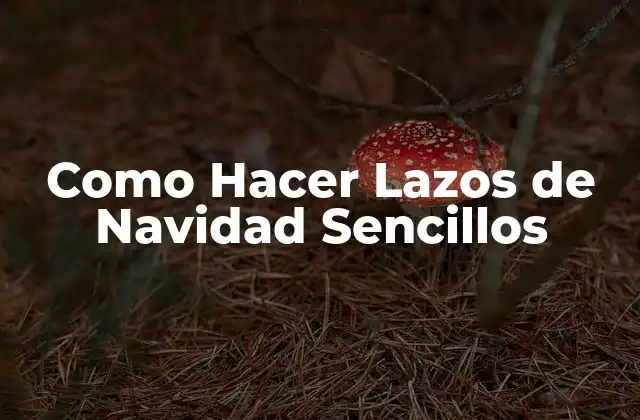 Como Hacer Lazos de Navidad Sencillos