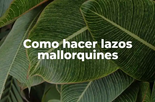 Como Hacer Lazos Mallorquines