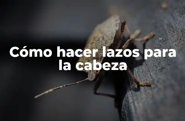 Cómo Hacer Lazos para la Cabeza
