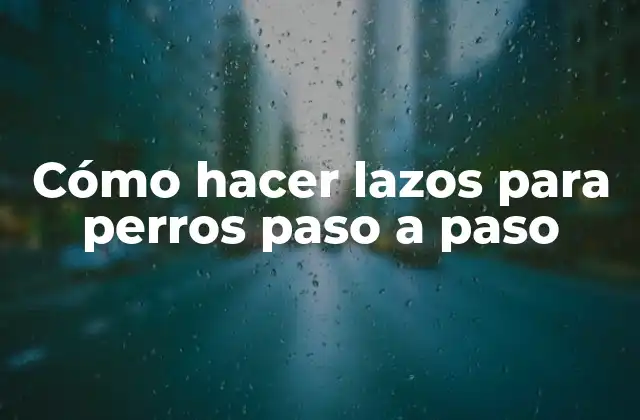 Cómo Hacer Lazos para Perros Paso a Paso