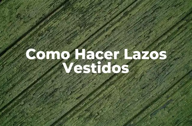 Como Hacer Lazos Vestidos