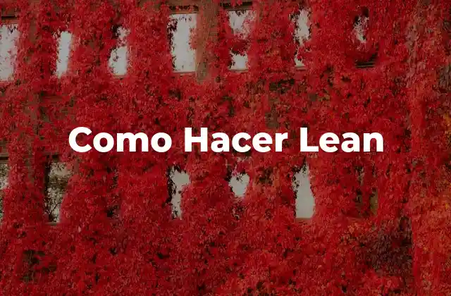 Como Hacer Lean