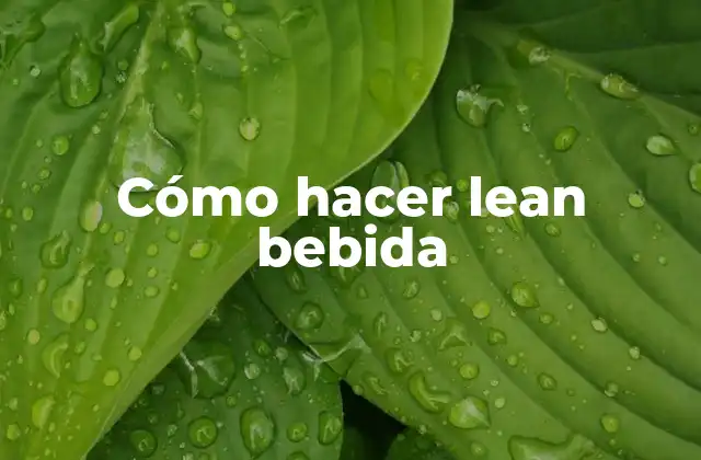 Cómo Hacer Lean Bebida