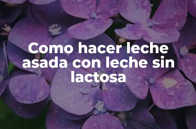 Como Hacer Leche Asada con Leche sin Lactosa
