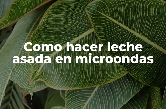 Como Hacer Leche Asada en Microondas