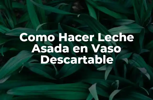 Como Hacer Leche Asada en Vaso Descartable