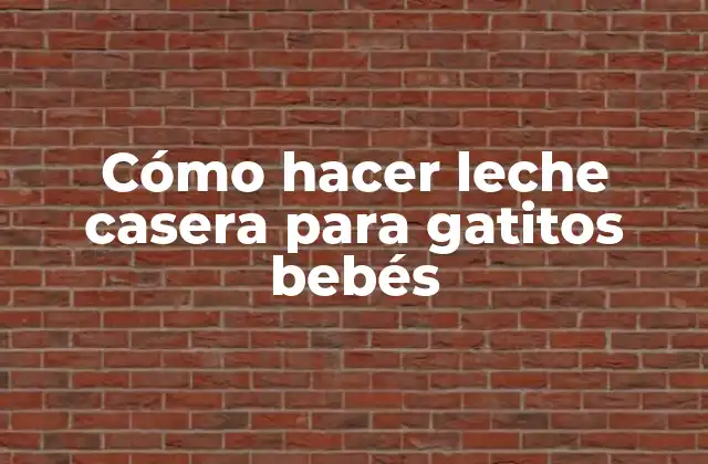 Cómo Hacer Leche Casera para Gatitos Bebés