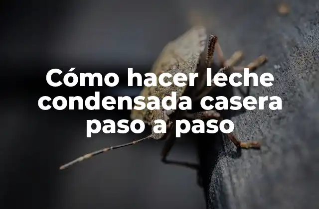 Cómo Hacer Leche Condensada Casera Paso a Paso