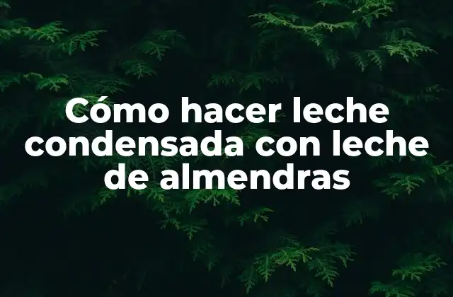 Cómo Hacer Leche Condensada con Leche de Almendras