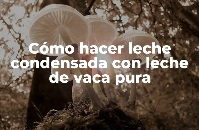 Cómo Hacer Leche Condensada con Leche de Vaca Pura