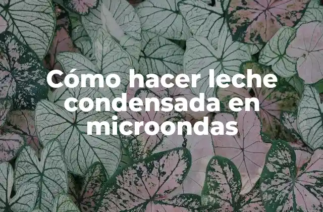 Cómo Hacer Leche Condensada en Microondas 2 ¿Qué es la leche condensada y para qué sirve?