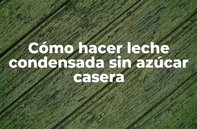Cómo Hacer Leche Condensada sin Azúcar Casera