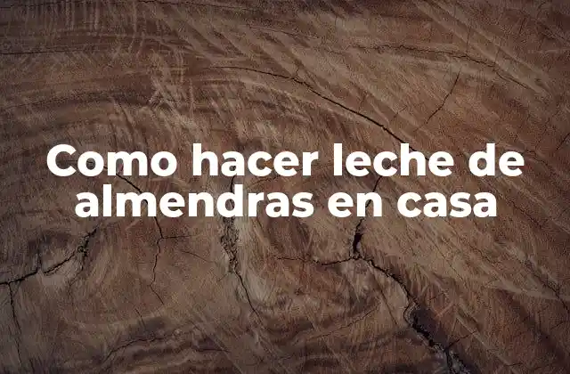 Como Hacer Leche de Almendras en Casa