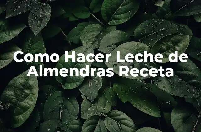 Como Hacer Leche de Almendras Receta
