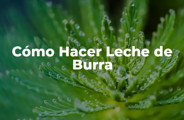 Cómo Hacer Leche de Burra