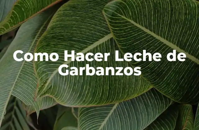 Como Hacer Leche de Garbanzos 2 ¿Qué es la Leche de Garbanzos y para Qué Sirve?