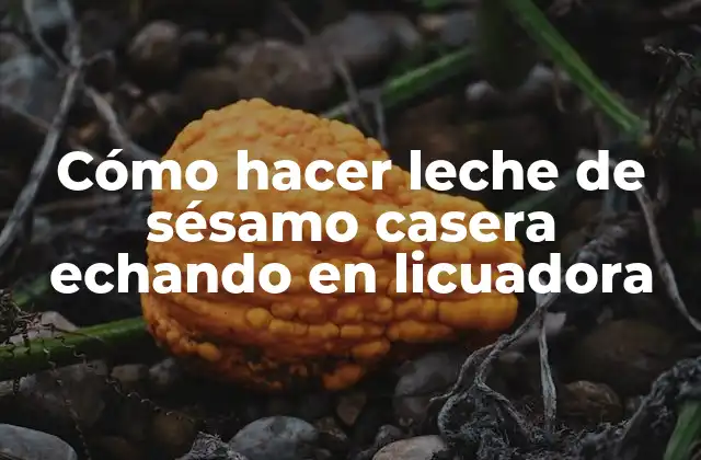 Cómo Hacer Leche de Sésamo Casera Echando en Licuadora