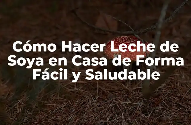 Cómo Hacer Leche de Soya en Casa de Forma Fácil y Saludable 2 ¿Qué es la Leche de Soya?
