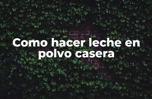 Como Hacer Leche en Polvo Casera