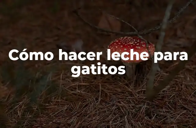 Leche para gatitos