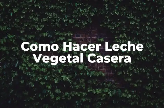 Como Hacer Leche Vegetal Casera