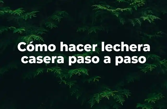 Cómo Hacer Lechera Casera Paso a Paso