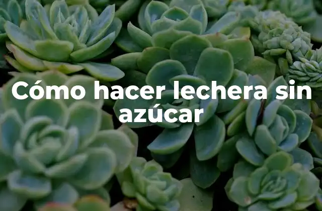 Cómo Hacer Lechera sin Azúcar
