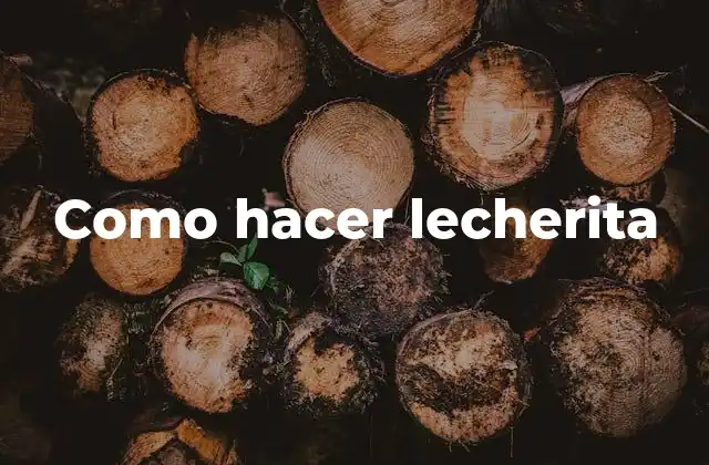 Como Hacer Lecherita 2 ¿Qué es la lecherita?