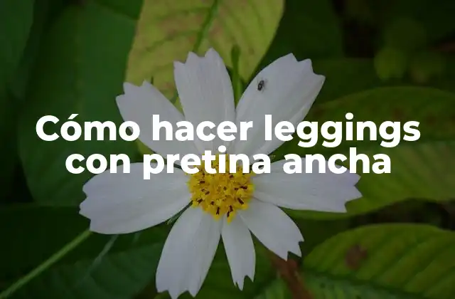 Cómo Hacer Leggings con Pretina Ancha
