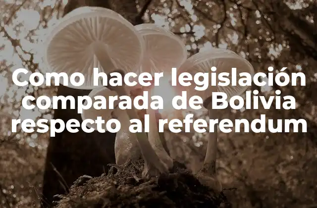 Como Hacer Legislación Comparada de Bolivia Respecto Al Referendum