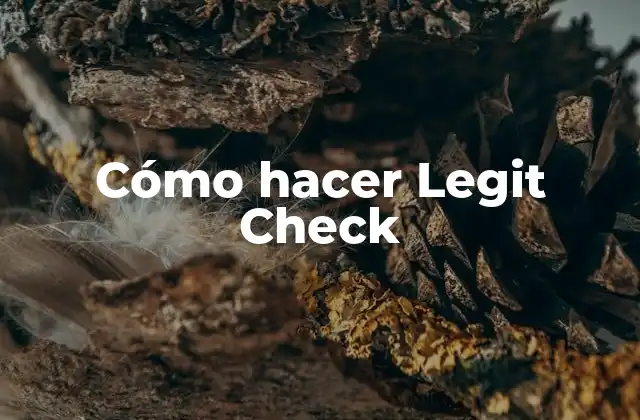 Cómo Hacer Legit Check 2 ¿Qué es un Legit Check?