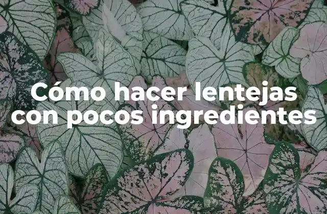 Cómo Hacer Lentejas con Pocos Ingredientes