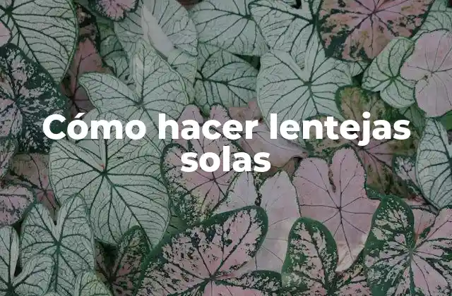 Cómo hacer lentejas solas