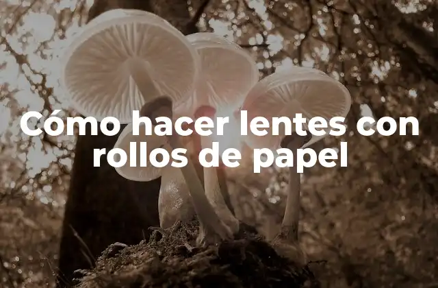Cómo Hacer Lentes con Rollos de Papel