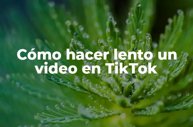 Cómo Hacer Lento un Video en Tiktok