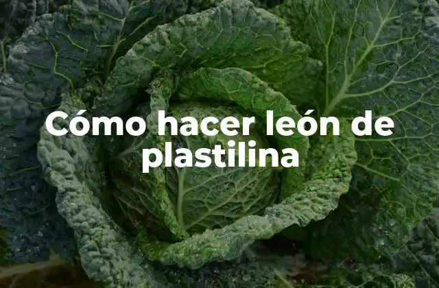 Cómo Hacer León de Plastilina