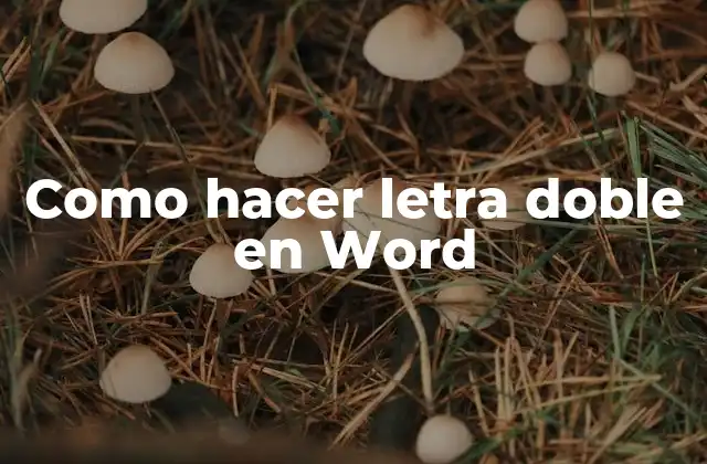 Como Hacer Letra Doble en Word